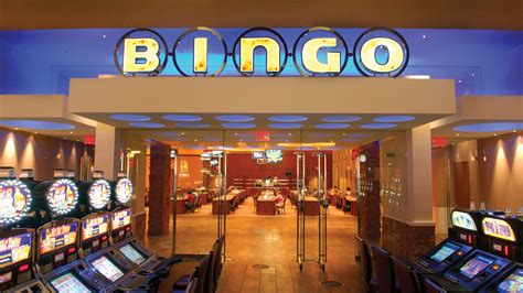 Casino Dingo .